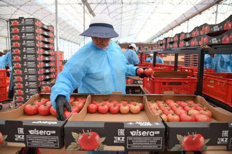 Арман Шаккалиев: В Шымкенте из цепочки поставок исключены 47 непродуктивных посредников