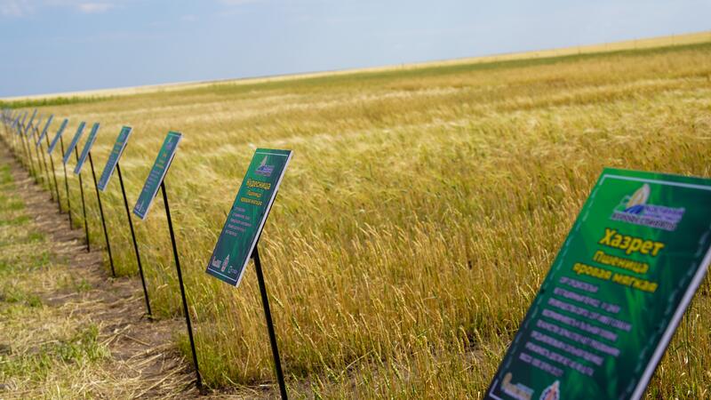 В Костанайской области представили передовые агротехнологии и достижения отечественной селекции