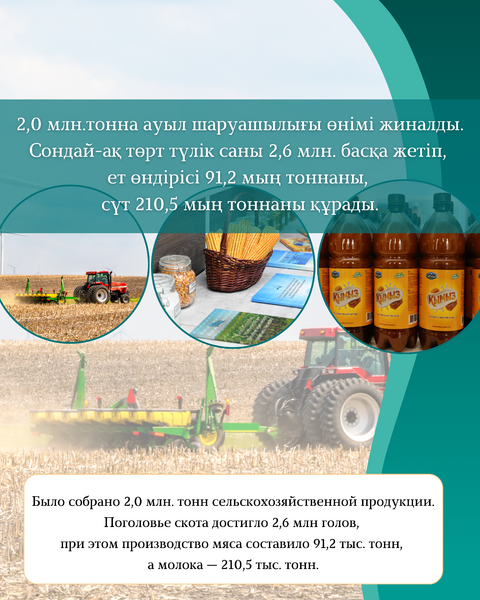 10 ПОКАЗАТЕЛЕЙ ОБЛАСТИ ЖЕТІСУ ЗА 2025 ГОД