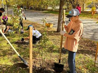 «Таза Қазақстан»: школьники Караганды озеленяют город