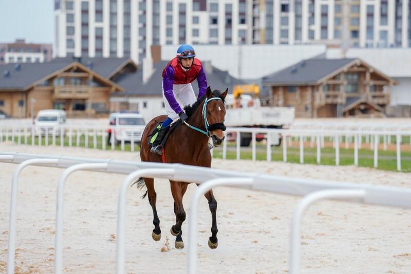 В Астане проходит республиканский турнир по байге
