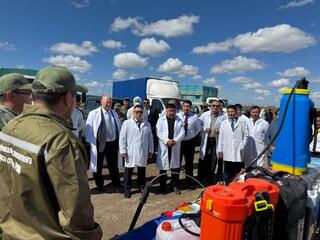 В области Абай прошли симуляционные учения по предотвращению вирусных заболеваний животных