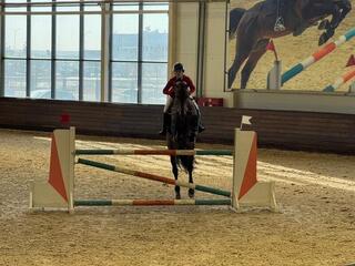 В Астане проходит чемпионат Казахстана по конкуру