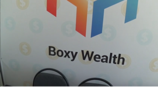 Финансовая пирамида «Boxy Wealth: организатор под стражей
