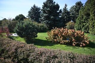 В Алмалинском районе обновляют ещё одну зелёную зону отдыха