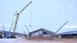 В Карагандинской области создают сельскохозяйственный кластер