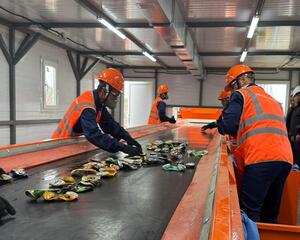 Экологическое развитие региона: сохранение природы и внедрение современных решений для устойчивого будущего