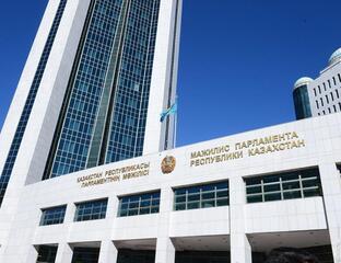 В Мажилисе рассмотрен законопроект по вопросам гражданской защиты