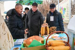 В Алматинской области представлены лучшие показатели развития сельского хозяйства