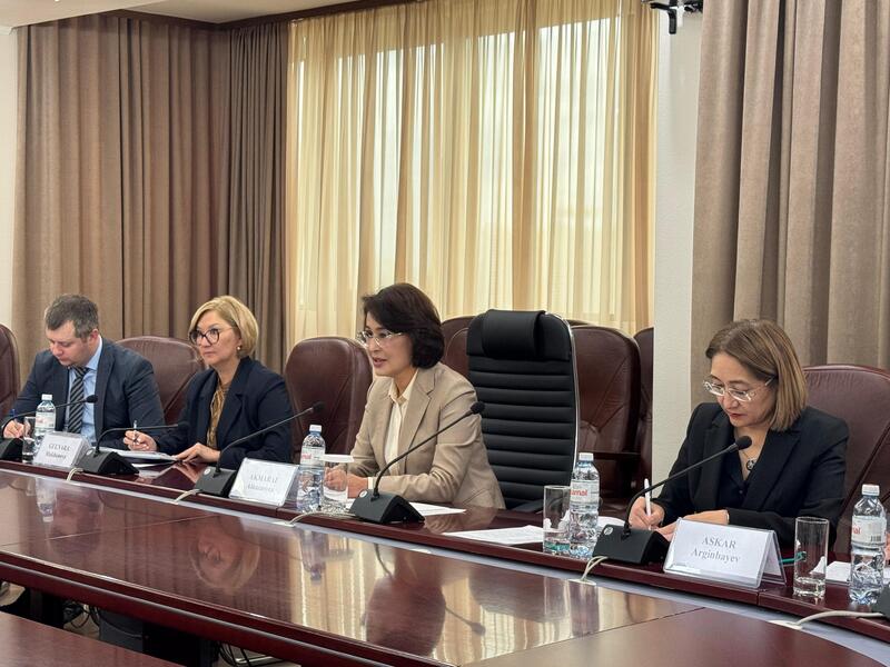 А.АЛЬНАЗАРОВА ВСТРЕТИЛАСЬ С ПОСТОЯННЫМ КООРДИНАТОРОМ ООН В КАЗАХСТАНЕ