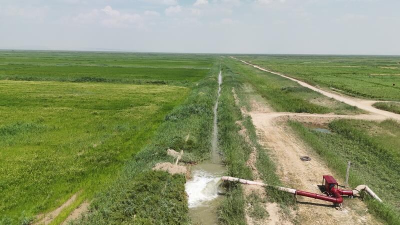 Министр водных ресурсов и ирригации ознакомился с ходом поливного периода в Жанакорганском и Шиелийском районах