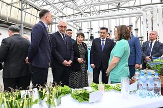 Делегация ВКО ознакомилась с работой крупной теплицы в Барнауле