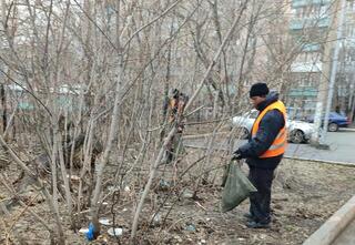 Около полутора тонн мусора вывезли коммунальные службы Караганды с улиц города