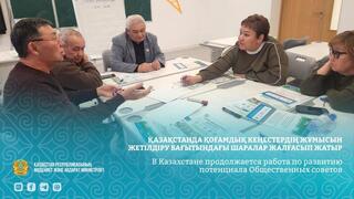В Казахстане продолжается работа по развитию потенциала Общественных советов