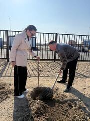 Родители высадили саженцы во дворах «Келешек мектептері»
