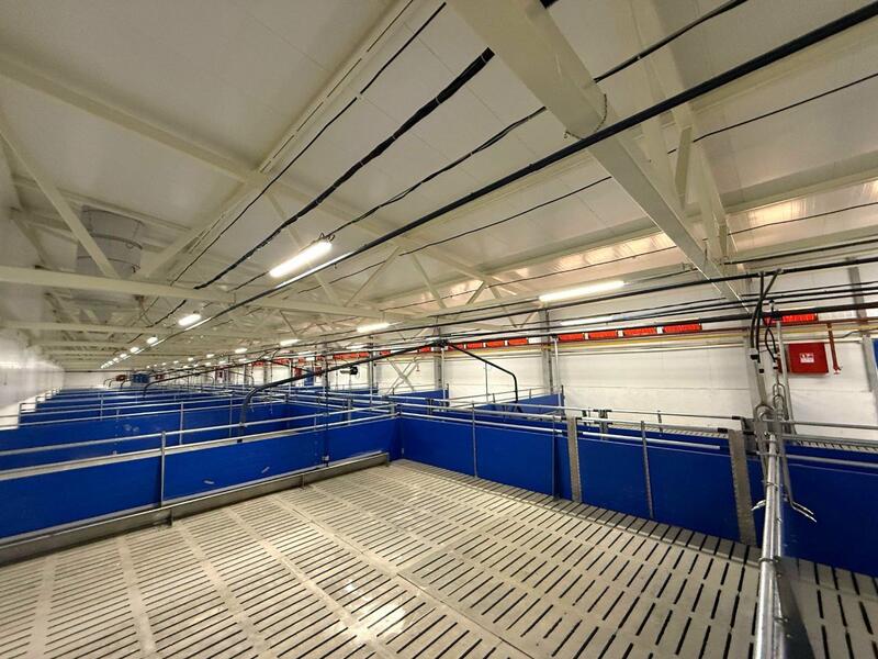 Инвестор построил спорткомплекс для жителей города Тайынша