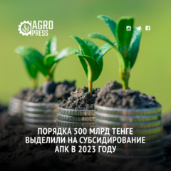 Порядка 500 млрд тенге выделили на субсидирование АПК в 2023 году