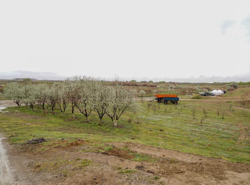 В ТУРКЕСТАНЕ ОБСУДИЛИ ХОД СОЗДАНИЯ ЭКОПАРКА
