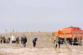 Аким области: Работы по обеспечению чистоты в регионе должны вестись круглый год – зимой и летом