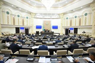 Закон по вопросам регулирования электронной торговли одобрил Сенат