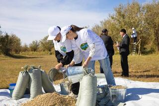 В Алматинской области в рамках акции «Чистый Казахстан» собрано более 200 килограммов семян жиде