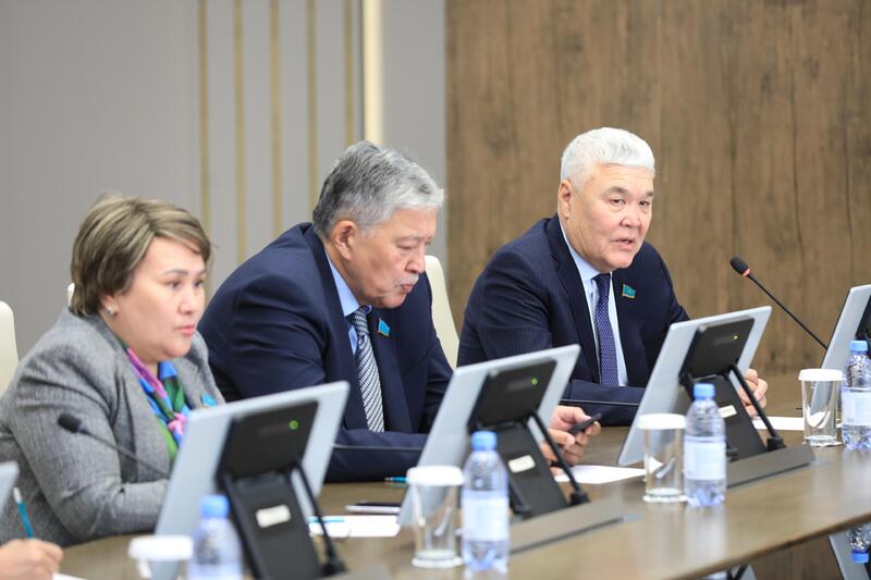 Аким области встретился с депутатами Сената Парламента