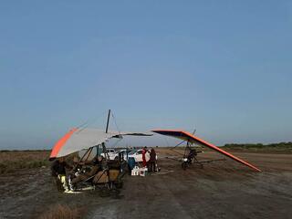 Более 10 тыс га сельхозземель обработано в Кызылординской области против саранчовых вредителей