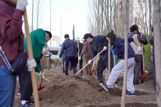 Активные жители столичного района высадили свыше 350 деревьев