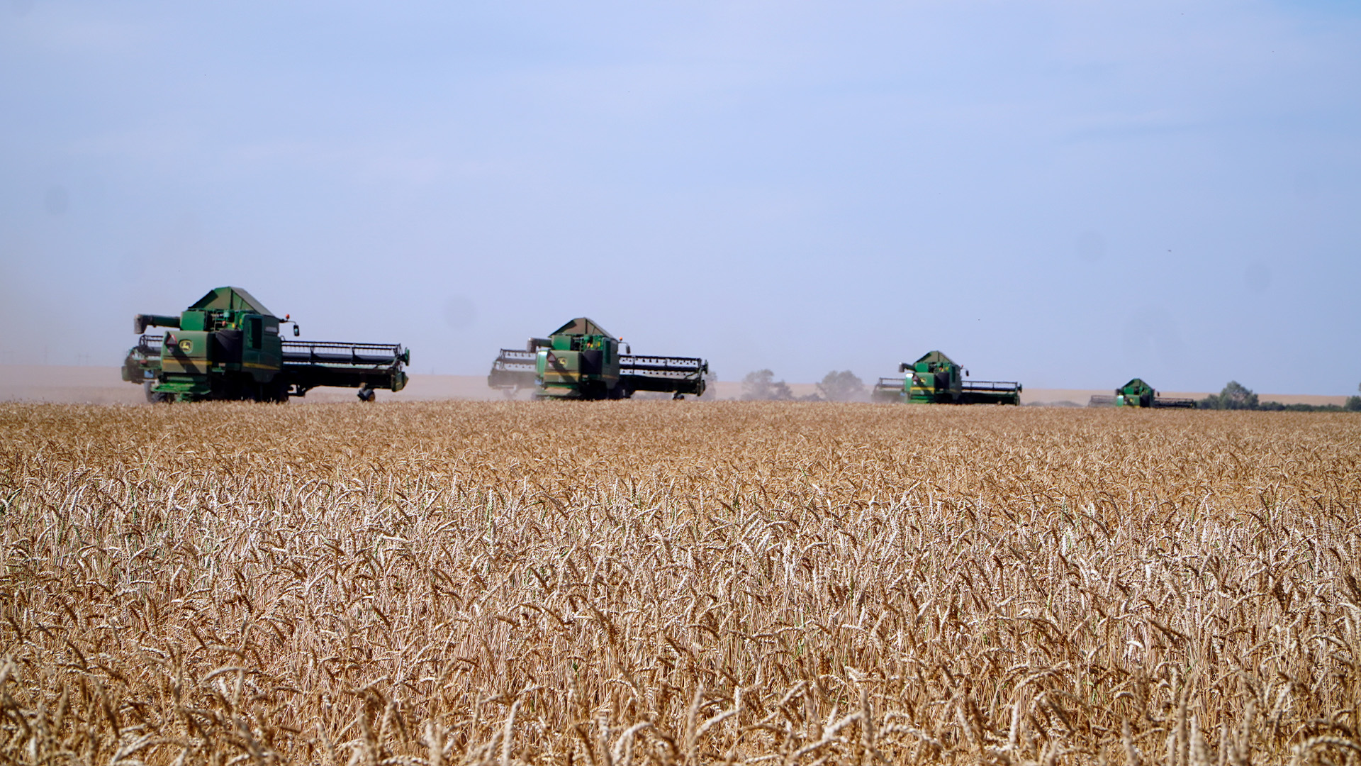 Новый уровень развития АПК: по поручению Президента начат переход к прогрессивной агроэкономике