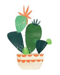 Цветочный СВОП