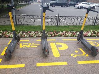 Электросамокат и безопасность: от личной культуры к общему порядку