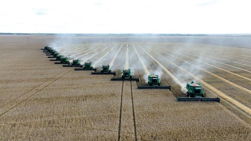 Аким области Гауез Нурмухамбетов доложил Президенту о ходе уборочной кампании в СКО