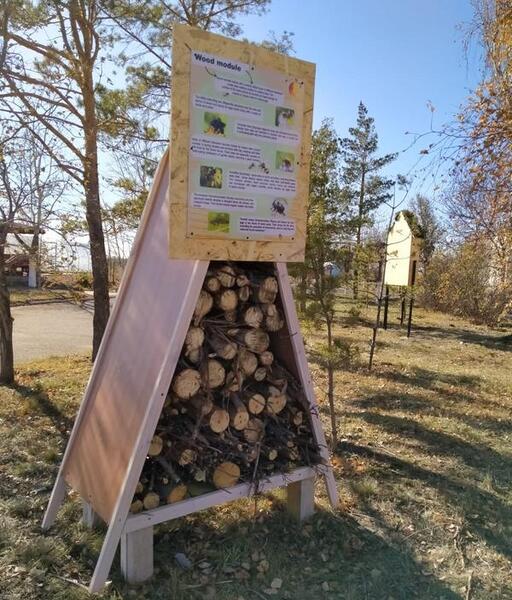 Экопроект: в Карагандинском университете имени Е. А. Букетова открыли «гостиницу» для полезных насекомых