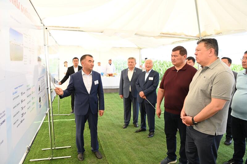 Заместитель Премьер-министра ознакомился с состоянием агросектора в Казалинском районе