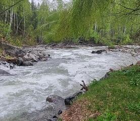 В ВКО начинается селеопасный период