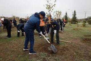 Экологическая акция прошла в Экибастузе