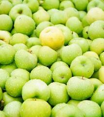 ТҮРКІСТАН ОБЛЫСЫНДА «DALA FRUIT» АГРОӨНЕРКӘСІПТІК КЕШЕНІ ТАБЫСТЫ ЖҰМЫС ІСТЕП ТҰР