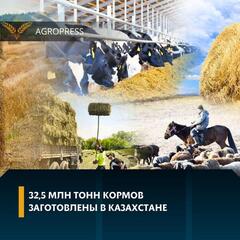 32,5 млн тонн кормов заготовлены в Казахстане