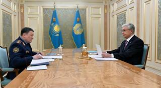Глава государства принял министра внутренних дел Ержана Саденова