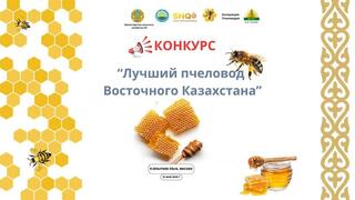 Конкурс «Лучший пчеловод Восточно-Казахстанской области», приуроченный к празднованию Дня животноводов пройдет в ВКО