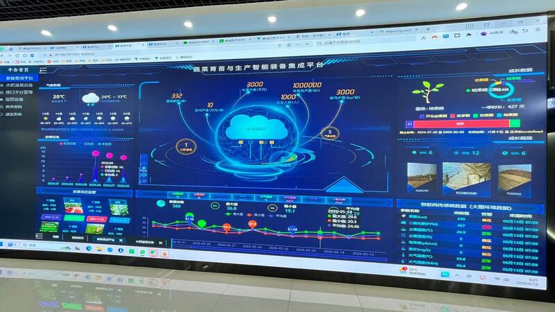 Солтүстік Қазақстан Облысының Digital Aimaq жобасы халықаралық деңгейге қадам басты