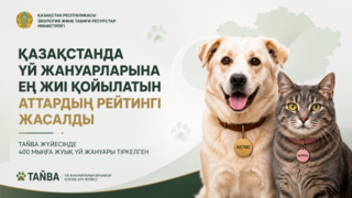 В Казахстане составили рейтинг самых популярных кличек домашних животных