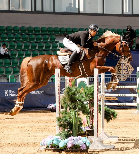 В Астане пройдет Кубок Казахстана по конкуру