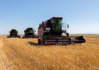 В Жамбылской области планируется собрать 3,8 миллиона тонн сельскохозяйственной продукции