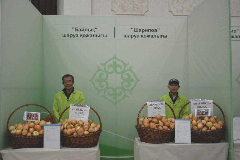 Ярмарка лука состоялась в Жамбылской области