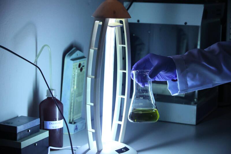 Ученые Сатпаева разработали ценные материалы из сельхозотходов