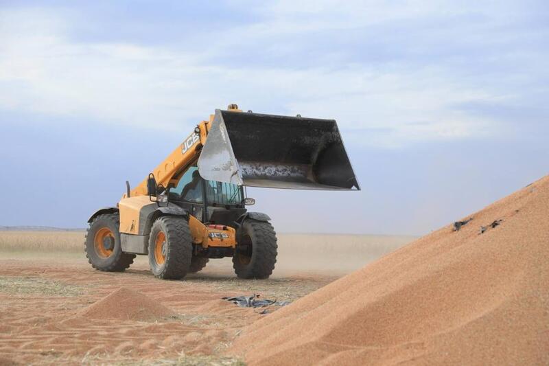 В Актюбинской области стартовала уборочная кампания