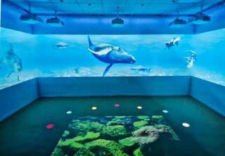 В Северо-Казахстанской области откроются два новых реабилитационных центра для детей с особыми потребностями