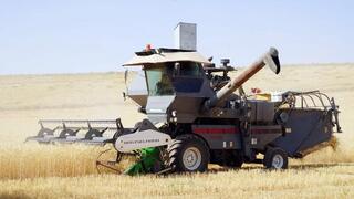Южные регионы Казахстана завершают уборочную кампанию