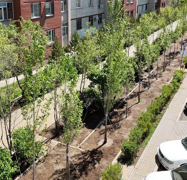 Озеленение и модернизация инфраструктуры: в районе Сарыарка ведутся работы по современному благоустройству